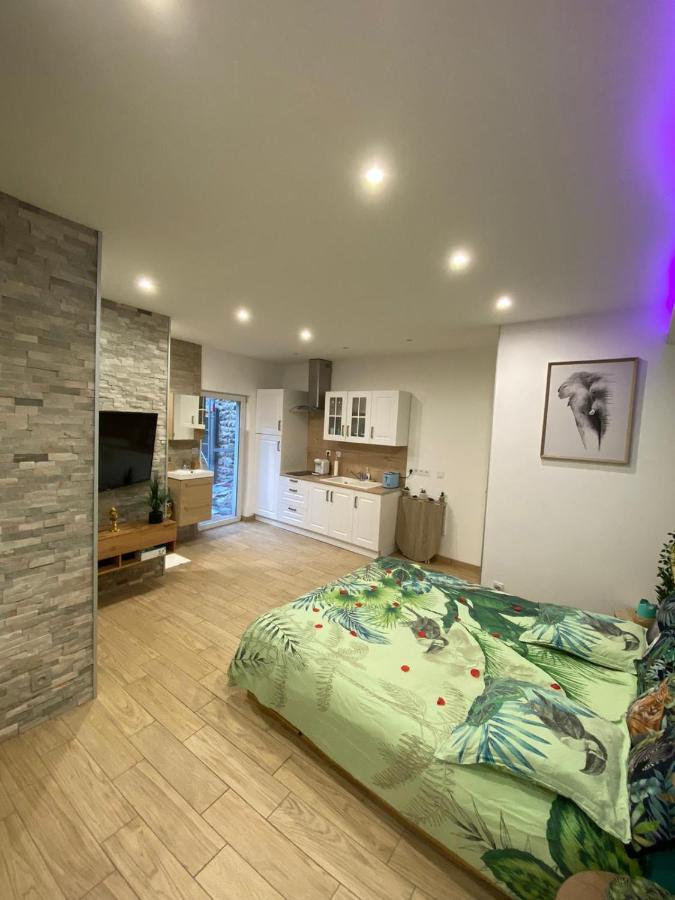 Le Menhir 2 Jacuzzi Spa Terasse Barbecue La Roche-Blanche  Екстериор снимка