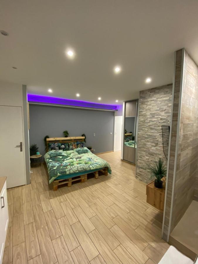 Le Menhir 2 Jacuzzi Spa Terasse Barbecue La Roche-Blanche  Екстериор снимка